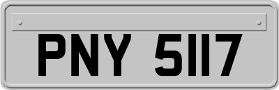 PNY5117