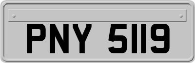 PNY5119