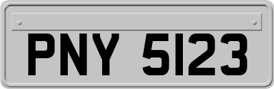 PNY5123