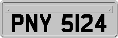 PNY5124