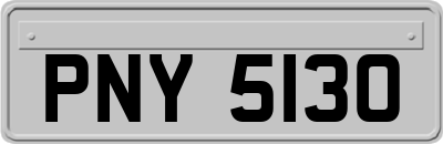 PNY5130
