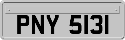 PNY5131