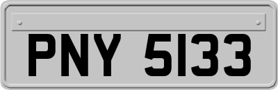 PNY5133