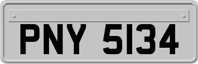 PNY5134
