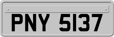 PNY5137