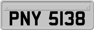 PNY5138