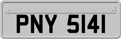 PNY5141
