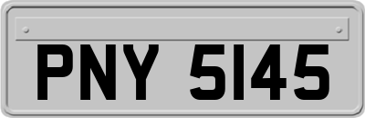 PNY5145