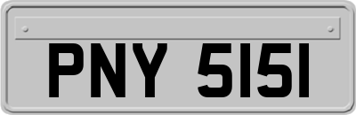 PNY5151
