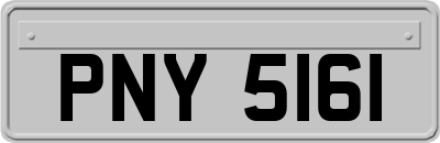 PNY5161