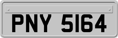 PNY5164