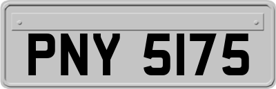 PNY5175