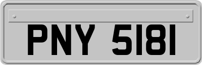 PNY5181