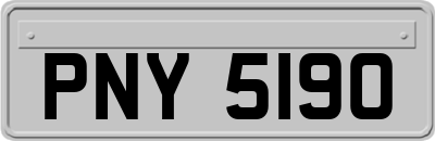 PNY5190