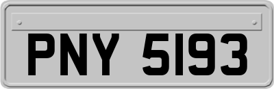 PNY5193