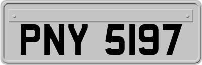 PNY5197