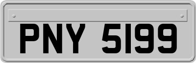 PNY5199