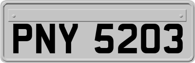 PNY5203