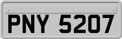 PNY5207