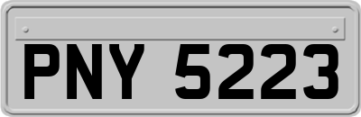 PNY5223