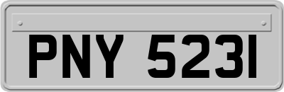 PNY5231