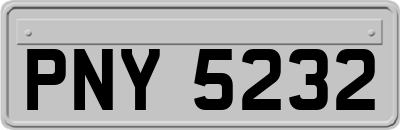 PNY5232