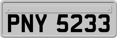 PNY5233