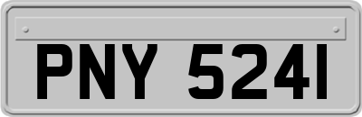 PNY5241