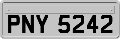 PNY5242