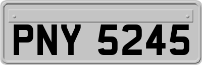 PNY5245