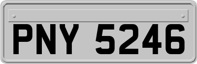 PNY5246