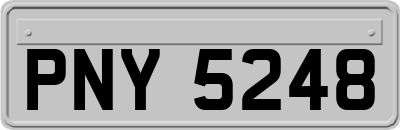 PNY5248