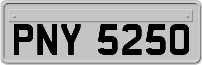 PNY5250