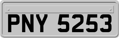 PNY5253