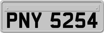 PNY5254