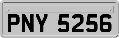 PNY5256