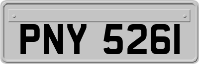 PNY5261