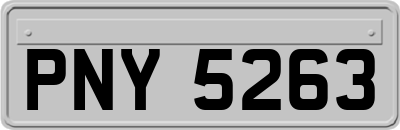 PNY5263