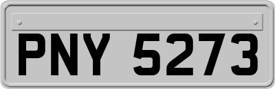 PNY5273