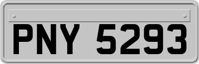 PNY5293