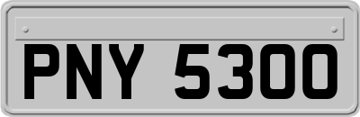 PNY5300