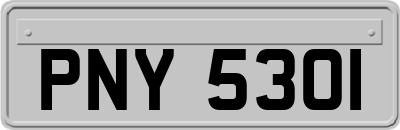 PNY5301