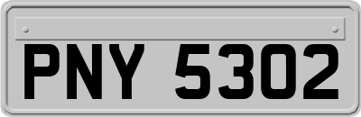 PNY5302