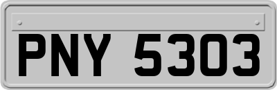 PNY5303
