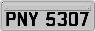 PNY5307