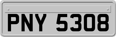 PNY5308