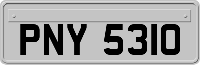PNY5310