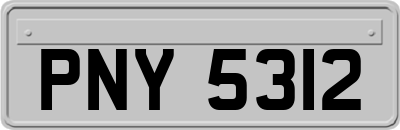 PNY5312