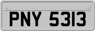 PNY5313