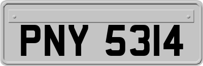 PNY5314